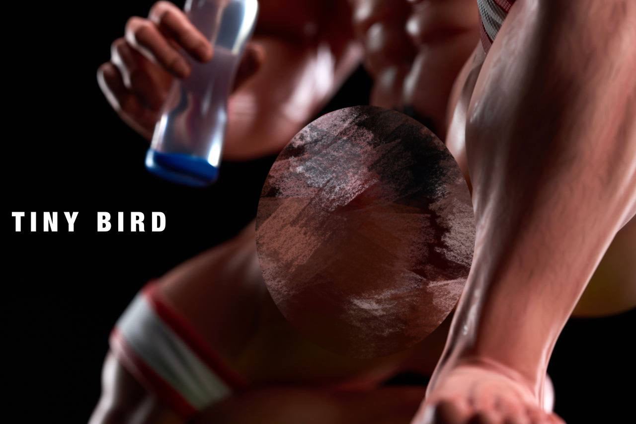 [GK Pre-Sale ONLY] TinyBird STUDIO - ABSOL - BCFIGURES